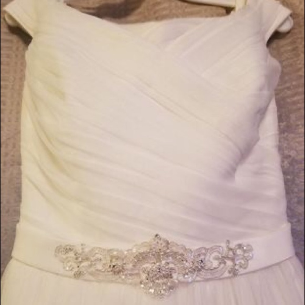 David’s Bridal A-line Tulle Wedding Gown with Beaded Sash - Picture 9 of 12